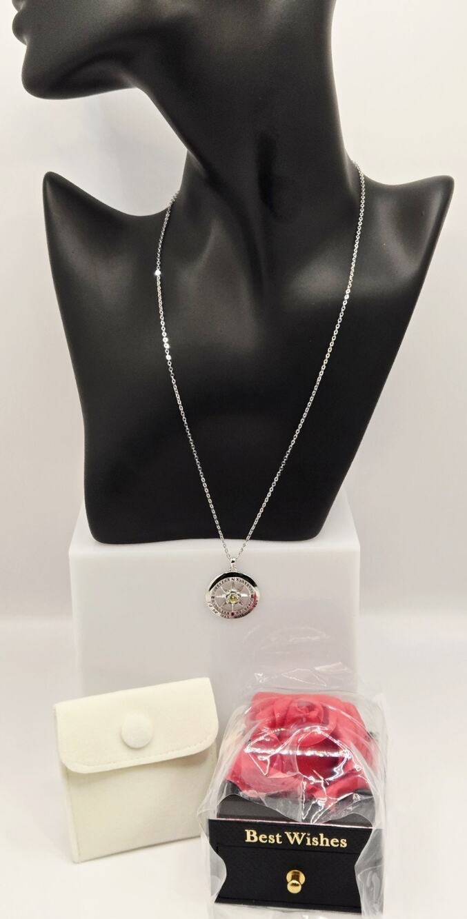 S925 Sterling Silver Compass Necklace – “I’d Be Lost Without You” – August Birth